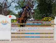 COATA L QUITE ItaAss2013- S5 1369 : COATA LUCA, Campionati Italiani 2013, Cattolica, Horse Riviera Resort, QUITE BEAUTY, foto di Stefano Secchi ©